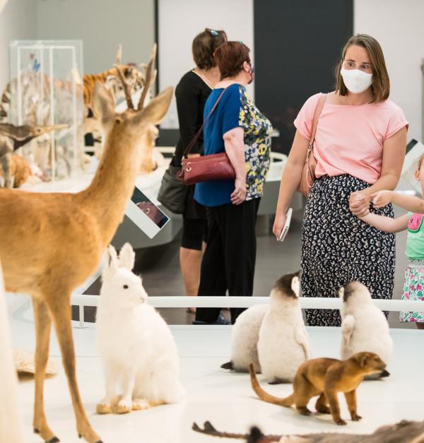 Museum voor Natuurwetenschappen